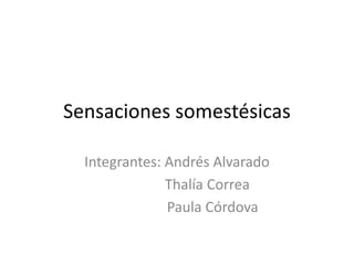 Sensaciones somestésicas
Integrantes: Andrés Alvarado
Thalía Correa
Paula Córdova
 