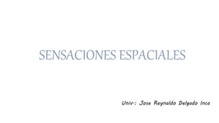 SENSACIONES ESPACIALES
Univ.: Jose Reynaldo Delgado Inca
 