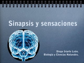 Diego Iriarte León.
Biología y Ciencias Naturales.
Sinapsis y sensaciones
 