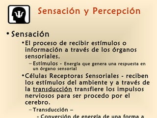 Sensación y Percepción 
• Sensación 
•El proceso de recibir estímulos o 
información a través de los órganos 
sensoriales. 
– Estímulos - Energía que genera una respuesta en 
un órgano sensorial 
•Células Receptoras Sensoriales - reciben 
los estímulos del ambiente y a través de 
la transducción transfiere los impulsos 
nerviosos para ser procedo por el 
cerebro. 
– Transducción – 
» Conversión de energía de una forma a 
 