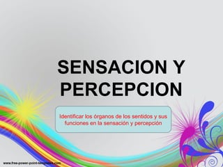 SENSACION Y
PERCEPCION
Identificar los órganos de los sentidos y sus
funciones en la sensación y percepción
 