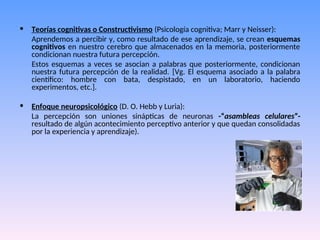 • Teorías cognitivas o Constructivismo (Psicología cognitiva; Marr y Neisser):
Aprendemos a percibir y, como resultado de ese aprendizaje, se crean esquemas
cognitivos en nuestro cerebro que almacenados en la memoria, posteriormente
condicionan nuestra futura percepción.
Estos esquemas a veces se asocian a palabras que posteriormente, condicionan
nuestra futura percepción de la realidad. [Vg. El esquema asociado a la palabra
científico: hombre con bata, despistado, en un laboratorio, haciendo
experimentos, etc.].
• Enfoque neuropsicológico (D. O. Hebb y Luria):
La percepción son uniones sinápticas de neuronas -“asambleas celulares”-
resultado de algún acontecimiento perceptivo anterior y que quedan consolidadas
por la experiencia y aprendizaje).
 