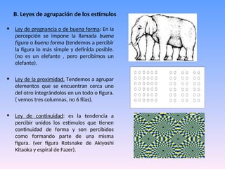 B. Leyes de agrupación de los estímulos
• Ley de pregnancia o de buena forma: En la
percepción se impone la llamada buena
figura o buena forma (tendemos a percibir
la figura lo más simple y definida posible.
(no es un elefante , pero percibimos un
elefante).
• Ley de la proximidad. Tendemos a agrupar
elementos que se encuentran cerca uno
del otro integrándolos en un todo o figura.
( vemos tres columnas, no 6 filas).
• Ley de continuidad: es la tendencia a
percibir unidos los estímulos que tienen
continuidad de forma y son percibidos
como formando parte de una misma
figura. (ver figura Rotsnake de Akiyoshi
Kitaoka y espiral de Fazer).
 