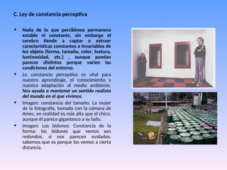 C. Ley de constancia perceptiva
• Nada de lo que percibimos permanece
estable ni constante, sin embargo el
cerebro tiende a captar o extraer
características constantes e invariables de
los objeto (forma, tamaño, color, textura,
luminosidad, etc.) , aunque puedan
parecer distintos porque varíen las
condiciones del entorno.
• La constancia perceptiva es vital para
nuestro aprendizaje, el conocimiento y
nuestra adaptación al medio ambiente.
Nos ayuda a mantener un sentido realista
del mundo en el que vivimos.
• Imagen: constancia del tamaño. La mujer
de la fotografía, tomada con la cámara de
Ames, en realidad es más alta que el chico,
aunque él parece gigantesco a su lado.
• Imagen: Los bidones: Constancia de la
forma: los bidones que vemos son
redondos, si nos parecen ovalados,
sabemos que es porque los vemos a cierta
distancia.
 