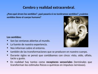 Cerebro y realidad extracerebral.
¿Para qué sirven los sentidos? ¿qué pasaría si no tuviéramos sentidos? ¿cuántos
sentidos tiene el cuerpo humano?
Los sentidos:
• Son las ventanas abiertas al mundo.
• La fuente de nuestra experiencia.
• Nos informan sobre el entorno.
• también de las transformaciones que se producen en nuestro cuerpo.
• Durante siglos se pensó que contábamos con cinco: vista, oído, olfato,
tacto y gusto.
• En realidad hay tantos como receptores sensoriales (terminales que
transforman los estímulos físicos o químicos en impulsos nerviosos).
 