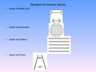 Ejemplos de ilusiones ópticas
• Ilusión de Müller-Lyer:
• Ilusión de Ehrenstein
• Ilusión de Zoellner:
• Ilusión de Ponzo:
 