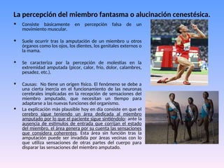 La percepción del miembro fantasma o alucinación cenestésica.
• Consiste básicamente en percepción falsa de un
movimiento muscular.
• Suele ocurrir tras la amputación de un miembro u otros
órganos como los ojos, los dientes, los genitales externos o
la mama.
• Se caracteriza por la percepción de molestias en la
extremidad amputada (picor, calor, frío, dolor, calambres,
pesadez, etc.).
• Causas: No tiene un origen físico. El fenómeno se debe a
una cierta inercia en el funcionamiento de las neuronas
cerebrales implicadas en la recepción de sensaciones del
miembro amputado, que necesitan un tiempo para
adaptarse a las nuevas funciones del organismo.
• La explicación más plausible hoy en día consiste en que el
cerebro sigue teniendo un área dedicada al miembro
amputado por lo que el paciente sigue sintiéndolo: ante la
ausencia de estímulos de entrada que corrijan el estado
del miembro, el área genera por su cuenta las sensaciones
que considera coherentes. Esta área sin función tras la
amputación puede ser invadida por áreas vecinas con lo
que utiliza sensaciones de otras partes del cuerpo para
disparar las sensaciones del miembro amputado.
 