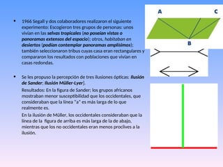 • 1966 Segall y dos colaboradores realizaron el siguiente
experimento: Escogieron tres grupos de personas: unos
vivían en las selvas tropicales (no poseían vistas o
panoramas extensos del espacio); otros, habitaban en
desiertos (podían contemplar panoramas amplísimos);
también seleccionaron tribus cuyas casa eran rectangulares y
compararon los resultados con poblaciones que vivían en
casas redondas.
• Se les propuso la percepción de tres ilusiones ópticas: Ilusión
de Sander; Ilusión Müller-Lyer].
Resultados: En la figura de Sander; los grupos africanos
mostraban menor susceptibilidad que los occidentales, que
consideraban que la línea “a“ es más larga de lo que
realmente es.
En la ilusión de Müller, los occidentales consideraban que la
línea de la figura de arriba es más larga de la de abajo,
mientras que los no occidentales eran menos proclives a la
ilusión.
 