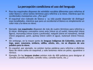 La percepción condiciona el uso del lenguaje
• Para los esquimales disponen de veintidós vocablos diferentes para referirse al
color blanco y otros tantos términos para referirse a la nieve, mientras que los
occidentales manejamos uno. ¿Por qué?
• El esquimal vive rodeado de blanco y su vida puede depender de distinguir
esas tonalidades, mientras que para un occidental el blanco es simplemente un
color más y la nieve es nieve.
• Ejemplo: Los esquimales disponen de más de cuatro términos para referirse a
la nieve: distinguen conceptos como aniu (nieve en el suelo), kanevvluk (nieve
ligera), murvaneq (nieve suave y profunda), natquik (nieve en remolino), nevluk
(nieve pegajosa), qanis, quineq (nieve sobre el agua), nutaryuk (nieve fresca),
etc.
• Sin embargo, en la mayor parte de lenguas indígenas de Colombia, como en
inga, paez, waunana, embera, sáliba, uitoto, etc., no se dispone de una
palabra para la nieve.
• En español, por ejemplo, no existen tantas palabras para referirse a distintos
tipos de nieve como en esquimal, y solo tenemos nieve en polvo, aguanieve o
nevisco.
• Ejemplo: En las lenguas árabes existen más de 400 palabras para designar al
camello (camello preñado, camello veloz, camello fuerte, etc.,)
 