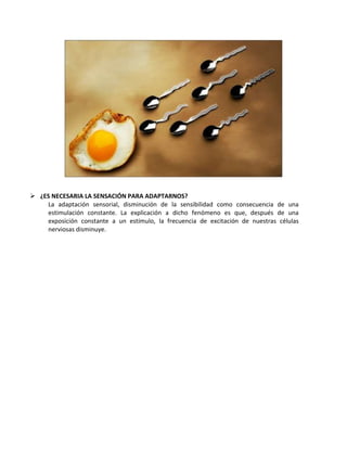  ¿ES NECESARIA LA SENSACIÓN PARA ADAPTARNOS?
La adaptación sensorial, disminución de la sensibilidad como consecuencia de una
estimulación constante. La explicación a dicho fenómeno es que, después de una
exposición constante a un estímulo, la frecuencia de excitación de nuestras células
nerviosas disminuye.
 