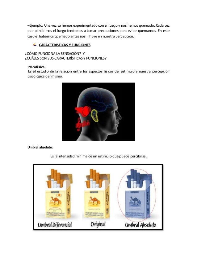 Ejemplos De Percepcion En La Vida