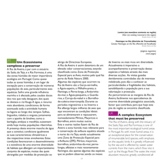 Lontra (um mamífero existente na região)
                                                                                                          Otter (an existing mammal in the region)
                                                                                                                                 © João Nunes da Silva

                                                                                                   Flamingos na Ria (Marinha da Troncalhada)
                                                                                              Greater Flamingos on the Ria (Marinha da Trocalhada)
                                                                                                                                 © João Nunes da Silva


                                                                                                                               (páginas seguintes)
                                                                                                                                     (next pages)


PT   Um Ecossistema                           abrigo de Directivas Europeias.               de Inverno os mais ricos em diversidade.
complexo a preservar                          A Ria de Aveiro é assim detentora de um       Actualmente é imperativo o
A Ria de Aveiro, a par com o estuário         elevado valor conservacionista, estando       acompanhamento e preservação destas
do Sado, do Tejo, e a Ria Formosa, é uma      classificada como Zona de Protecção           espécies e habitats através das mais
das zonas húmidas de maior importância        Especial para as Aves, motivo pelo qual faz   diversas acções. As visitas guiadas
ecológica em Portugal. Como quase             parte da Rede Natura 2000.                    devidamente controladas são de interesse
todas as zonas húmidas, é um lugar de         Algumas das espécies que ocorrem na           redobrado, pois dão a conhecer as
excepção para a conservação de inúmeras       Ria de Aveiro são a Garça-vermelha,           particularidades e fragilidades dos habitats,
populações de aves, particularmente aves      a Águia-sapeira, o Milhafre-preto, o          sensibilizando a população para a sua
aquáticas. Sofre uma grande influência        Flamingo, o Perna-longa, a Andorinha-         valorização e protecção.
marinha e é afectada pelos caudais doces      do-mar, a Águia-pesqueira, o Guarda-          Ao percorrerem-se as margens da Ria de
dos rios que nela desaguam, dos quais         rios, a Coruja-do-nabal e o Borrelho-         Aveiro, facilmente nos apercebemos da
se destaca o rio Vouga. A água, o recurso     de-coleira-interrompida. Durante os           enorme diversidade paisagística associada,
mais abundante, condicionou de forma          períodos migratórios e no Inverno a           factor que contribuiu para que hoje esta
acentuada toda a actividade humana            Ria alberga largos milhares de aves que       jóia da região se encontre classificada.
na laguna ao longo dos tempos. Solhas,        aqui encontram as condições ideiais
                                              para se alimentarem e repousarem,             UK
linguados, robalos e enguias, juntamente                                                          A complex Ecosystem
com a apanha de bivalves, como o              nomeadamente Pilritos, Maçaricos e            that must be preserved
berbigão, amêijoa e mexilhão, sustentam       Borrelhos, entre muitas outras.               The Ria of Aveiro, along with the estuary of
ainda hoje muitas populações ribeirinhas.     Esta e outras razões fazem da Ria de          the Sado, Tejo and Ria Formosa, is one of
A presença desta enorme mancha de água        Aveiro a zona húmida mais relevante para      the most important ecological humid areas
que a constitui, condiciona igualmente        a conservação da avifauna aquática situada    in Portugal. As with most humid areas, it is
as suas características climatéricas e        a norte do rio Tejo, sendo actualmente        an exceptional place for the conservation
das respectivas áreas envolventes. Estas      uma Zona de Protecção Especial para           of innumerable bird species, with emphasis
condições favoreceram o desenvolvimento       a Avifauna (ZPE). Pilritos, maçaricos,        on the aquatic birds. It is greatly influenced
e a existência de uma enorme diversidade      borrelhos, andorinhas-do-mar, perna-          by the sea and is affected by sweet water
de habitats que albergam um importantíssimo   longas, alfaiates e mais recentemente         currents from the rivers, which flow into it
conjunto de espécies, muitas das quais        flamingos, são apenas algumas das espécies    such as the Vouga River. The water, the most
abrangidas por medidas de protecção ao        que se podem observar, sendo os meses         abundant resource, greatly conditioned all
                                                                  18
 