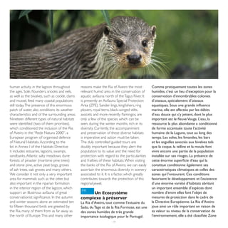 human activity in the lagoon throughout          reasons make the Ria of Aveiro the most           Comme pratiquement toutes les zones
the ages. Sole, flounders, snooks and eels,      relevant humid area in the conservation of        humides, c’est un lieu d’exception pour la
as well as the bivalves, such as cockle, clams   aquatic avifauna north of the Tagus River. It     conservation d’innombrables colonies
and mussel, feed many coastal populations        is presently an Avifauna Special Protection       d’oiseaux, spécialement d’oiseaux
still today. The presence of this enormous       Area (ZPE). Sander lings, kingfishers, ring       aquatiques. Sous une grande influence
patch of water, also conditions its weather      plovers, royal terns, black-winged stilts,        marine, elle est affectée par les débits
characteristics and of the surrounding areas.    avocets and more recently flamingos, are          d’eau douce qui s’y jettent, dont le plus
Nineteen different types of natural habitats     only a few of the species which can be            important est le fleuve Vouga. L’eau, la
were identified (two of them priorities),        seen, during the winter months, rich in its       ressource la plus abondante a conditionné
which conditioned the inclusion of the Ria       diversity. Currently, the accompaniment           de forme accentuée toute l’activité
of Aveiro in the “Rede Natura 2000”, a           and preservation of these diverse habitats        humaine de la Lagune, tout au long des
European program of organised defence            is imperative and action must be taken.           temps. Les soles, les limandes, les bars
of Natural Habitats. According to the            The duly controlled guided tours are              et les anguilles associés aux bivalves tels
list in Annex I of the Habitats Directive        doubly important because they alert the           que la coque, la telline et la moule font
it includes: estuaries, lagoons, swamps,         population to its value and the need for          vivre encore une partie de la population
sandbanks, Atlantic salty meadows, dune          protection with regard to the particularities     installée sur ses rivages. La présence de
forests of pinaster (maritime pine trees)        and frailties of these habitats. When visiting    cette énorme superficie d’eau qui la
and stone pine, active peat bogs, groves         the banks of the Ria of Aveiro, we can easily     constitue conditionne également ses
of ash trees, oak groves and many others.        ascertain the enormous diversity in scenery       caractéristiques climatiques et celles des
We consider it not only a very important         associated to it. It is a factor, which greatly   zones qui l’entourent. Ces conditions
area for mammals such as the otter, but          contributes towards the protection of this        favorisent le développement et l’existence
also important in the riparian formation         regional jewel.                                   d’une énorme variété d’habitats abritant
in the interior region of the lagoon, which                                                        un important ensemble d’espèces dont
support an illustrious avifauna of great         FR                                                nombre d’entre elles font l’objet de
                                                      Un Ecosystème
conservationist significance. In the autumn      complexe à préserver                              mesures de protection dans le cadre de
and winter seasons alone an estimated ten        La Ria d’Aveiro, tout comme l’estuaire du         la Directive Européenne. La Ria d’Aveiro
to fifteen thousand birds are greeted by         Sado, du Tage et de la Ria Formose, est une       joue ainsi un rôle important en raison de
the Ria, many of them from as far away as        des zones humides de très grande                  sa valeur au niveau de la conservation de
the north of Europe. This and many other         importance écologique pour le Portugal.           l’environnement, elle a été classifiée Zone
                                                                       19
 