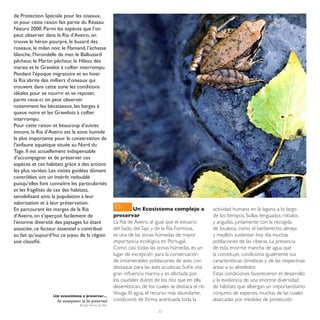 de Protection Spéciale pour les oiseaux,
et pour cette raison fait partie du Réseau
Natura 2000. Parmi les espèces que l’on
peut observer dans la Ria d’Aveiro, on
trouve le héron pourpré, le busard des
roseaux, le milan noir, le Flamand, l’échasse
blanche, l’hirondelle de mer, le Balbuzard
pêcheur, le Martin pêcheur, le Hibou des
marais et le Gravelot à collier interrompu.
Pendant l’époque migratoire et en hiver
la Ria abrite des milliers d’oiseaux qui
trouvent dans cette zone les conditions
idéales pour se nourrir et se reposer,
parmi ceux-ci on peut observer
notamment les bécasseaux, les barges à
queue noire et les Gravelots à collier
interrompu.
Pour cette raison et beaucoup d’autres
encore, la Ria d’Aveiro est la zone humide
la plus importante pour la conservation de
l’avifaune aquatique située au Nord du
Tage. Il est actuellement indispensable
d’accompagner et de préserver ces
espèces et ces habitats grâce à des actions
les plus variées. Les visites guidées dûment
contrôlées ont un intérêt redoublé
puisqu’elles font connaître les particularités
et les fragilités de ces des habitats,
sensibilisant ainsi la population à leur
valorisation et à leur préservation.
En parcourant les marges de la Ria                        ES        Un Ecosistema complejo a            actividad humana en la laguna a lo largo
d’Aveiro, on s’aperçoit facilement de                     preservar                                     de los tiempos. Sollas, lenguados, robalos
l’énorme diversité des paysages lui étant                 La Ría de Aveiro, al igual que el estuario    y anguilas, juntamente con la recogida
associée, ce facteur essentiel a contribué                del Sado, del Tajo y de la Ría Formosa,       de bivalvos, como el berberecho, almeja
au fait qu’aujourd’hui ce joyau de la région              es una de las zonas húmedas de mayor          y mejillón sustentan hoy día muchas
soit classifié.                                           importancia ecológica en Portugal.            poblaciones de las riberas. La presencia
                                                          Como casi todas las zonas húmedas, es un      de esta enorme mancha de agua que
                                                          lugar de excepción para la conservación       la constituye, condiciona igualmente sus
                                                          de innúmerables poblaciones de aves, con      características climáticas y de las respectivas
                                                          destaque para las aves acuáticas. Sufre una   áreas a su alrededor.
                                                          gran influencia marina y es afectada por      Estas condiciones favorecieron el desarrollo
                                                          los caudales dulces de los ríos que en ella   y la existencia de una enorme diversidad
                                                          desembocan, de los cuales se destaca el río   de hábitats que albergan un importantísimo
                                                          Vouga. El agua, el recurso más abundante,     conjunto de especies, muchas de las cuales
                   Um ecossistema a preservar…
                     An ecossystem to be preserved        condicionó de forma acentuada toda la         abarcadas por medidas de protección
                                  © João Nunes da Silva
                                                                               22
 