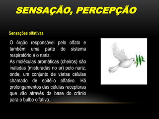 SENSAÇÃO, PERCEPÇÃOSensações olfativasO órgão responsável pelo olfato e também uma parte do sistema respiratório é o nariz.As moléculas aromáticas (cheiros) são inaladas (misturadas no ar) pelo nariz, onde, um conjunto de várias células chamado de epitélio olfativo. Há prolongamentos das células receptoras que vão através da base do crânio para o bulbo olfativo.