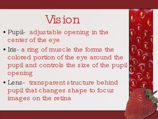 Vision Pupil-   adjustable opening in the center of the eye   Iris-  a ring of muscle the forms the colored portion of the eye around the pupil and controls the size of the pupil opening Lens-   transparent structure behind pupil that changes shape to focus images on the retina 