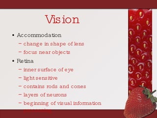 Vision Accommodation change in shape of lens focus near objects Retina inner surface of eye light sensitive contains rods and cones layers of neurons beginning of visual information processing 