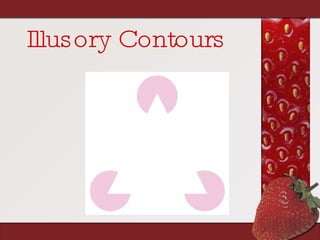 Illusory Contours 