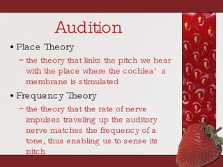 Audition Place Theory the theory that links the pitch we hear with the place where the cochlea’s membrane is stimulated Frequency Theory the theory that the rate of nerve impulses traveling up the auditory nerve matches the frequency of a tone, thus enabling us to sense its pitch 