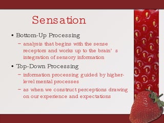 Sensation Bottom-Up Processing analysis that begins with the sense receptors and works up to the brain’s integration of sensory information Top-Down Processing information processing guided by higher-level mental processes as when we construct perceptions drawing on our experience and expectations 