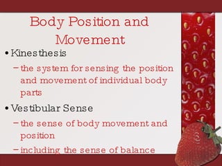 Body Position and Movement Kinesthesis the system for sensing the position and movement of individual body parts Vestibular Sense the sense of body movement and position including the sense of balance 