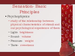 Sensation- Basic Principles Psychophysics study of the relationship between physical characteristics of stimuli and our psychological experience of them Light-   brightness Sound-   volume Pressure-   weight Taste-   sweetness 
