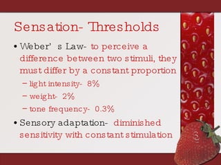 Sensation- Thresholds Weber’s Law-   to perceive a difference between two stimuli, they must differ by a constant proportion light intensity-  8% weight-  2% tone frequency-  0.3% Sensory adaptation-   diminished sensitivity with constant stimulation 