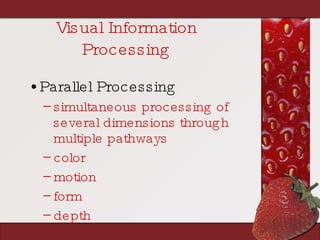 Visual Information Processing <ul><li>Parallel Processing </li></ul><ul><ul><li>simultaneous processing of several dimensi...