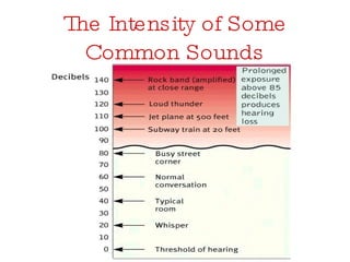 The Intensity of Some Common Sounds 