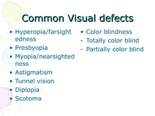 Sensation | PPT