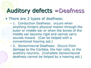 Sensation | PPT