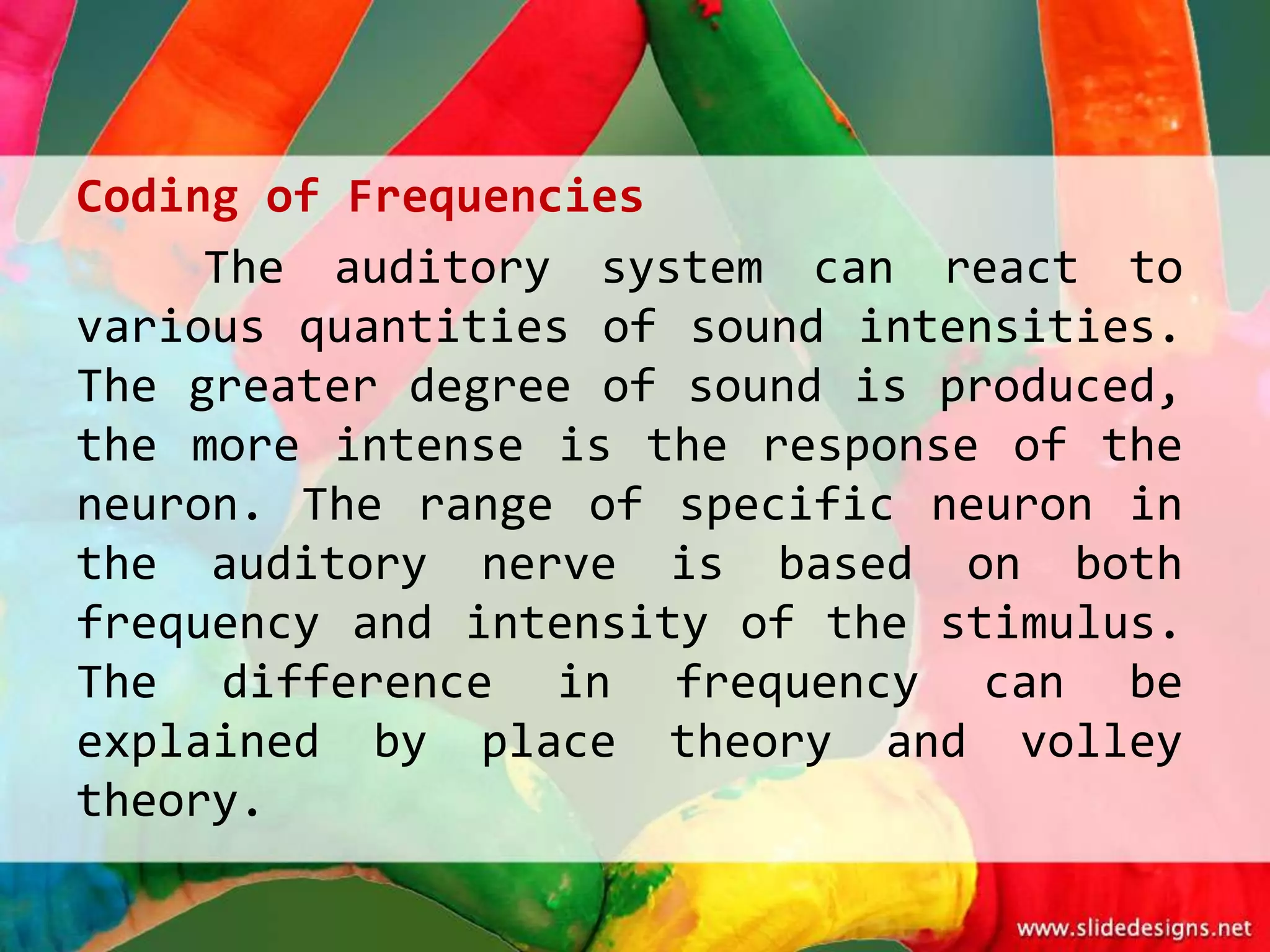 Coding of Frequencies
     The auditory system can react to
various quantities of sound intensities.
The greater degree of sound is produced,
the more intense is the response of the
neuron. The range of specific neuron in
the auditory nerve is based on both
frequency and intensity of the stimulus.
The difference in frequency can be
explained by place theory and volley
theory.
 