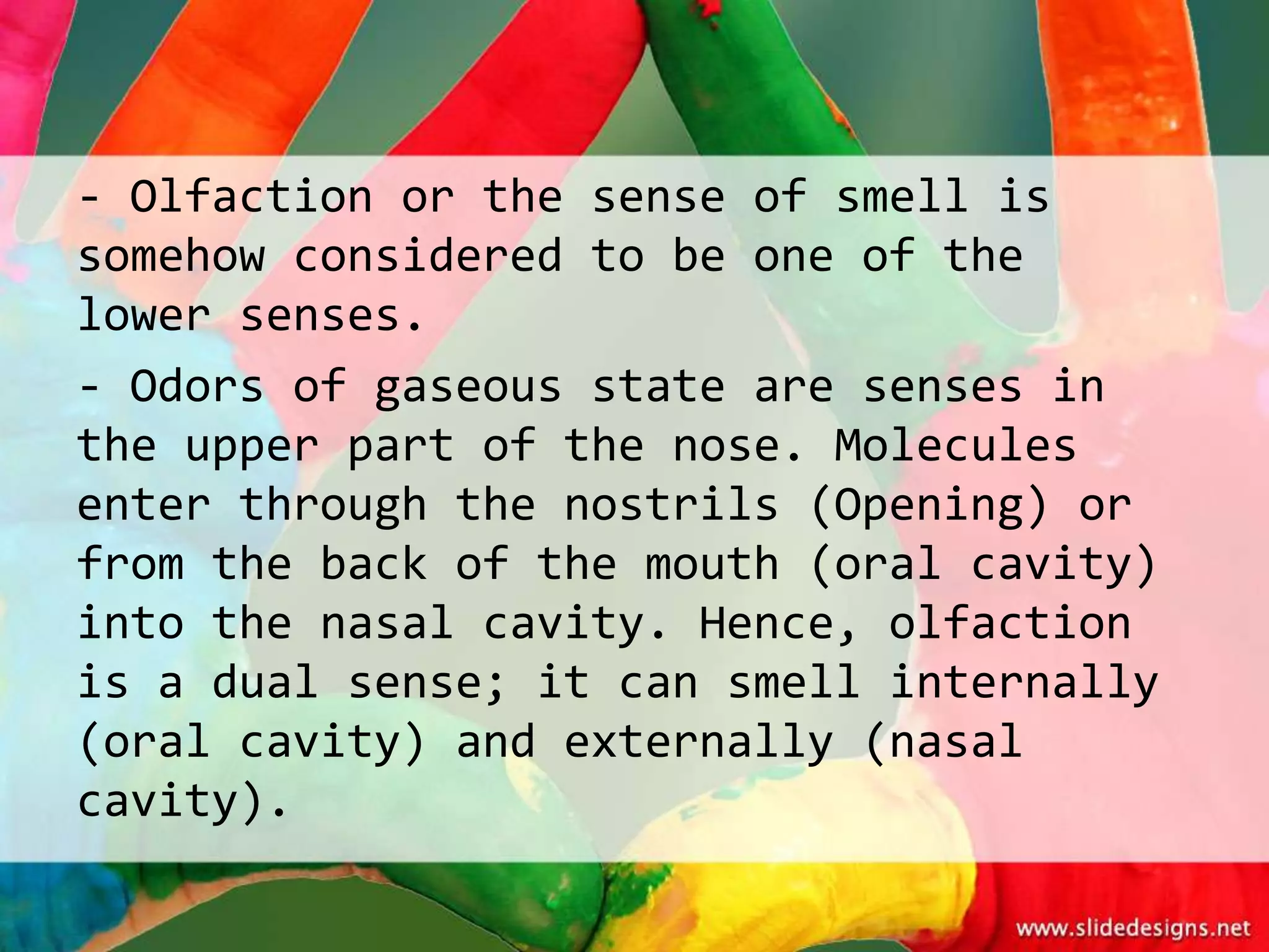 - Olfaction or the sense of smell is
somehow considered to be one of the
lower senses.
- Odors of gaseous state are senses in
the upper part of the nose. Molecules
enter through the nostrils (Opening) or
from the back of the mouth (oral cavity)
into the nasal cavity. Hence, olfaction
is a dual sense; it can smell internally
(oral cavity) and externally (nasal
cavity).
 