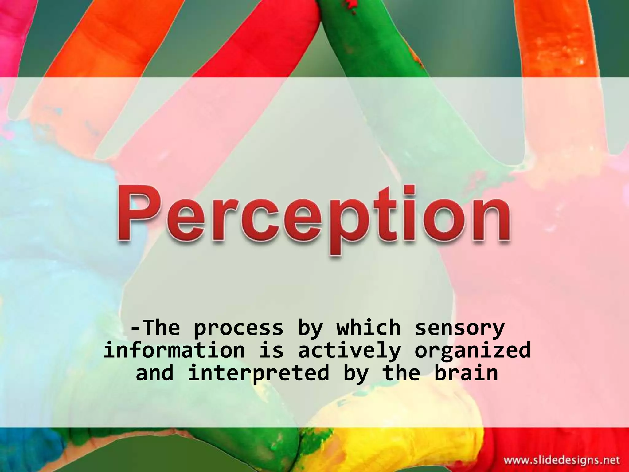 -The process by which sensory
information is actively organized
   and interpreted by the brain
 