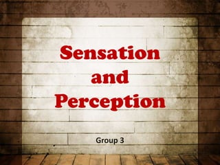 Sensation
   and
Perception
   Group 3
 