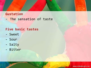 Gustation
- The sensation of taste

Five basic tastes
- Sweet
- Sour
- Salty
- Bitter
 