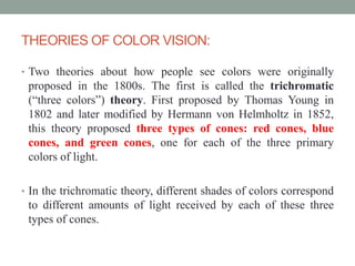 THEORIES OF COLOR VISION:
• Two theories about how people see colors were originally
proposed in the 1800s. The first is called the trichromatic
(“three colors”) theory. First proposed by Thomas Young in
1802 and later modified by Hermann von Helmholtz in 1852,
this theory proposed three types of cones: red cones, blue
cones, and green cones, one for each of the three primary
colors of light.
• In the trichromatic theory, different shades of colors correspond
to different amounts of light received by each of these three
types of cones.
 