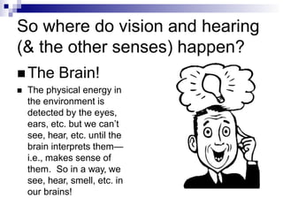 So where do vision and hearing
(& the other senses) happen?
 The Brain!
 The physical energy in
the environment is
detected by the eyes,
ears, etc. but we can’t
see, hear, etc. until the
brain interprets them—
i.e., makes sense of
them. So in a way, we
see, hear, smell, etc. in
our brains!
 