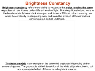 Sensation and Perception | PPT