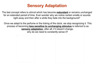 Sensory Adaptation   The last concept refers to stimuli which has become  redundant  or remains unchanged for an extended ...