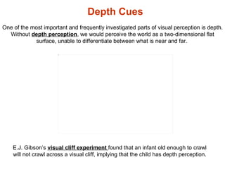 Depth Cues One of the most important and frequently investigated parts of visual perception is depth. Without  depth perce...