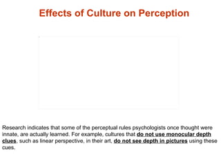 Effects of Culture on Perception Research indicates that some of the perceptual rules psychologists once thought were inna...