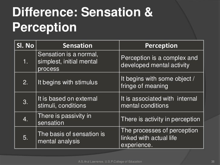 differences between sensation and perception Exact difference and relation between cognition and sensation & perception, what are the differences between conceptual framework and theoretical. differences between sensation and perception Exact difference and relation between cognition and sensation & perception, what are the differences between conceptual framework and theoretical.