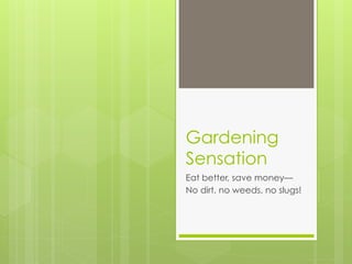 Gardening
Sensation
Eat better, save money—
No dirt, no weeds, no slugs!
 