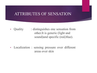 ATTRIBUTES OF SENSATION
• Quality : distinguishes one sensation from
other.It is generic (light and
sound)and specific (red,blue).
• Localization : sensing pressure over different
areas over skin
 
