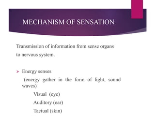 MECHANISM OF SENSATION
Transmission of information from sense organs
to nervous system.
 Energy senses
(energy gather in the form of light, sound
waves)
Visual (eye)
Auditory (ear)
Tactual (skin)
 