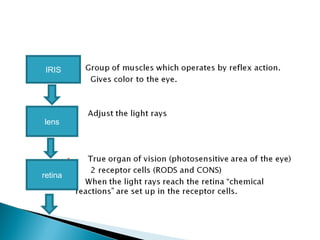 IRIS
lens
retina
 