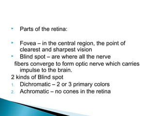  Parts of the retina:
 Fovea – in the central region, the point of
clearest and sharpest vision
 Blind spot – are where all the nerve
fibers converge to form optic nerve which carries
impulse to the brain.
2 kinds of Blind spot
1. Dichromatic – 2 or 3 primary colors
2. Achromatic – no cones in the retina
 