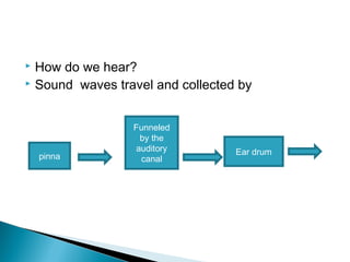  How do we hear?
 Sound waves travel and collected by
pinna
Funneled
by the
auditory
canal
Ear drum
 