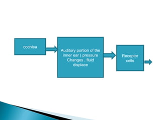 cochlea
Auditory portion of the
inner ear ( pressure
Changes , fluid
displace
Receptor
cells
 